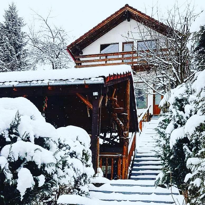 Cabana Vânătorilor Poiana Mărului Exterior foto