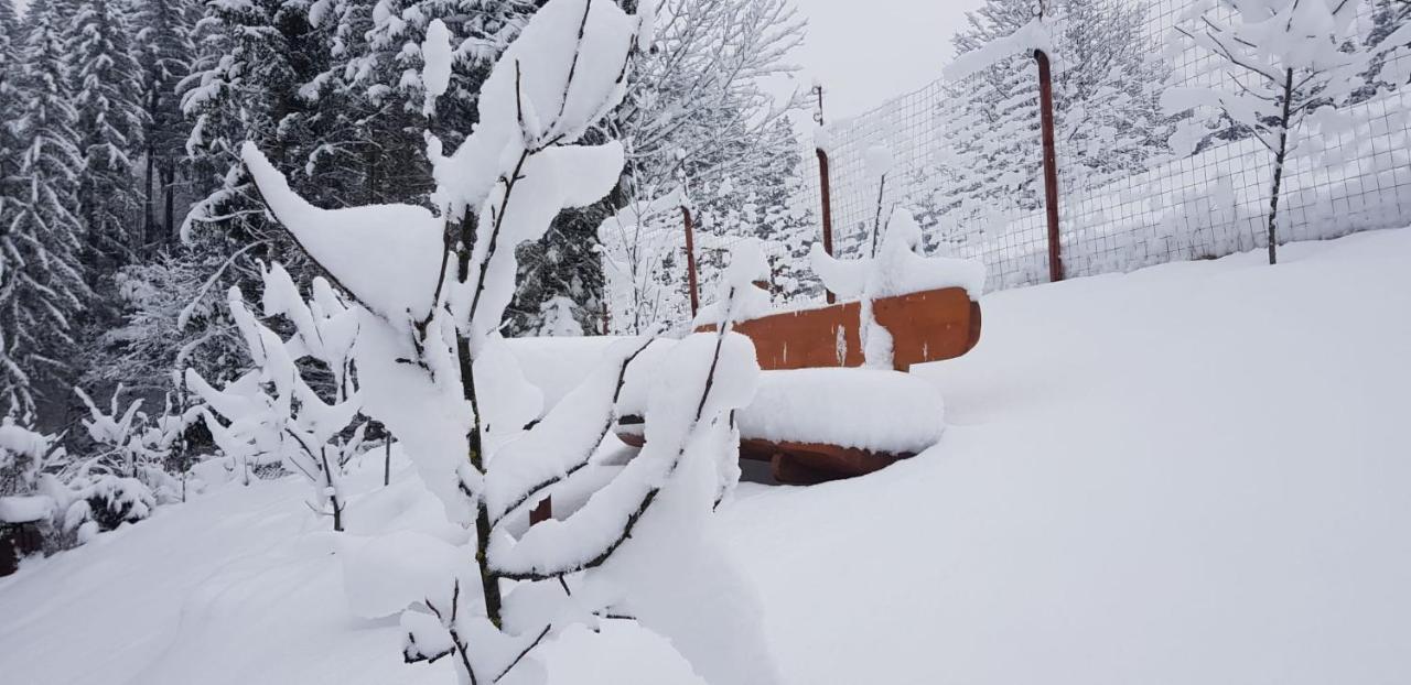 Cabana Vânătorilor Poiana Mărului Exterior foto